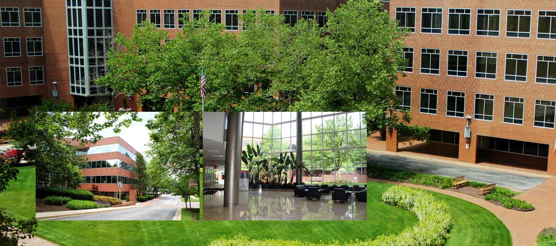 Speridian has moved into a bigger, Brighter office in Maryland