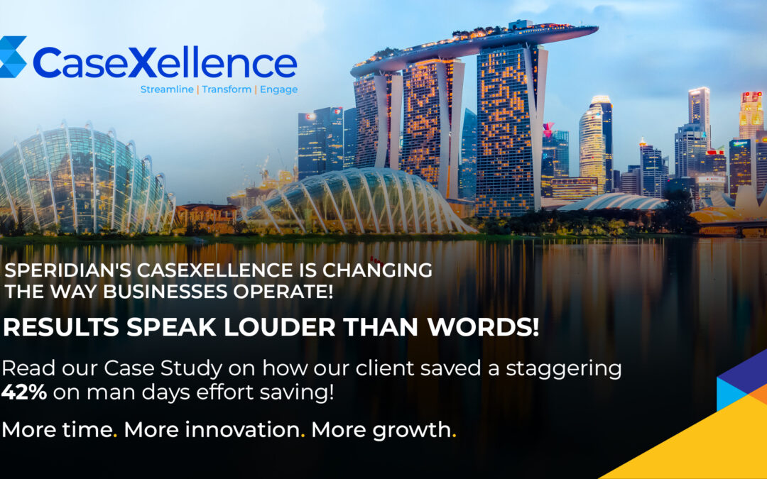 case management for government