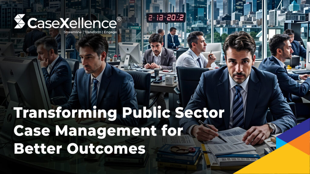 public sector case management