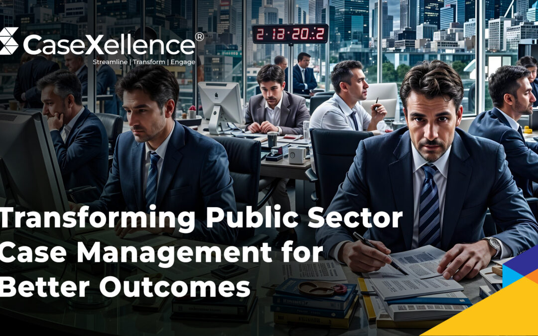public sector case management